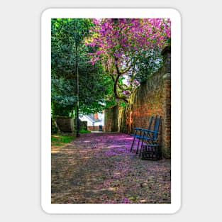 Blossom Path Sticker